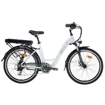 Fat Tyre Leisure Electric Bike